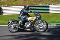 Vintage-motorcycle-club;eventdigitalimages;mallory-park;mallory-park-trackday-photographs;no-limits-trackdays;peter-wileman-photography;trackday-digital-images;trackday-photos;vmcc-festival-1000-bikes-photographs
